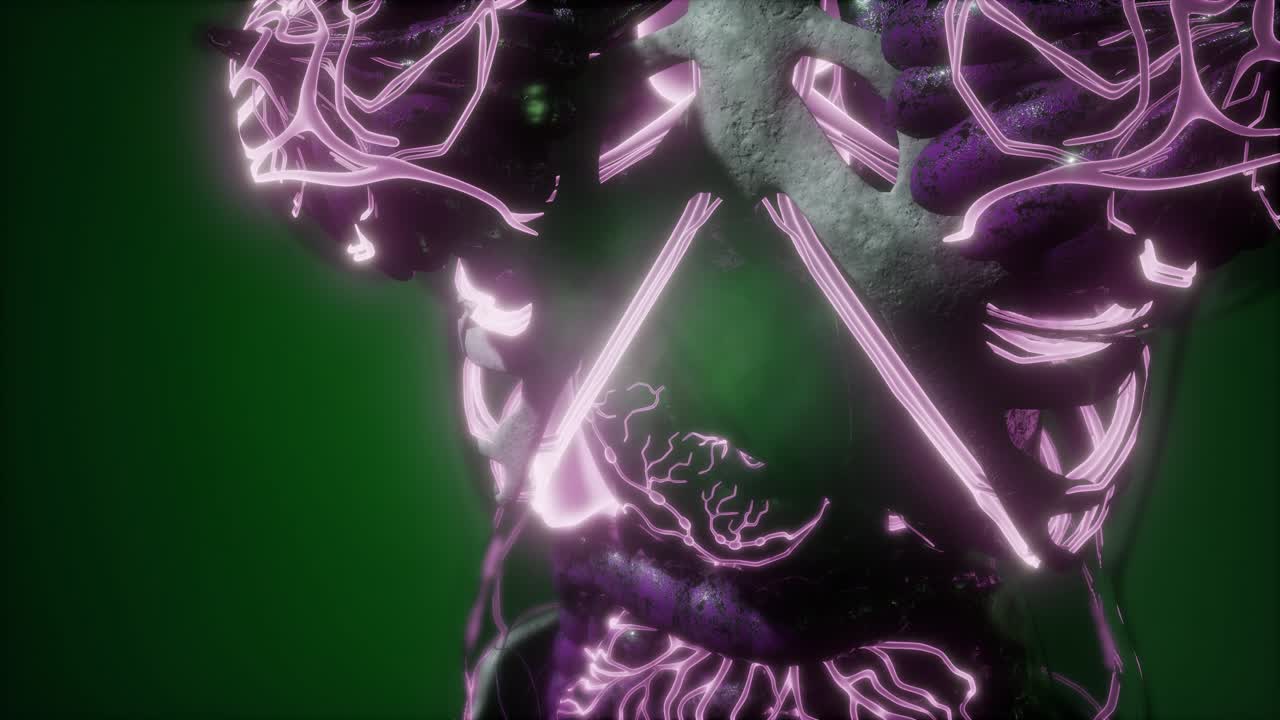 cuerpo humano con vasos sanguíneos brillantes