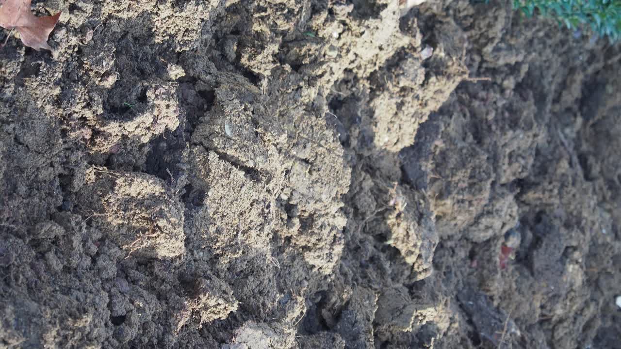 Image of soil