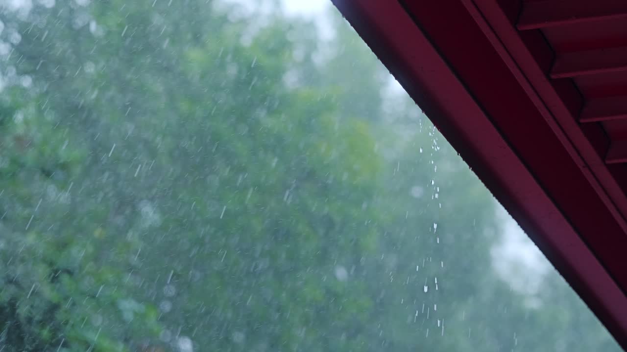 Intense rainfall, under roof with water drops falling against forest view