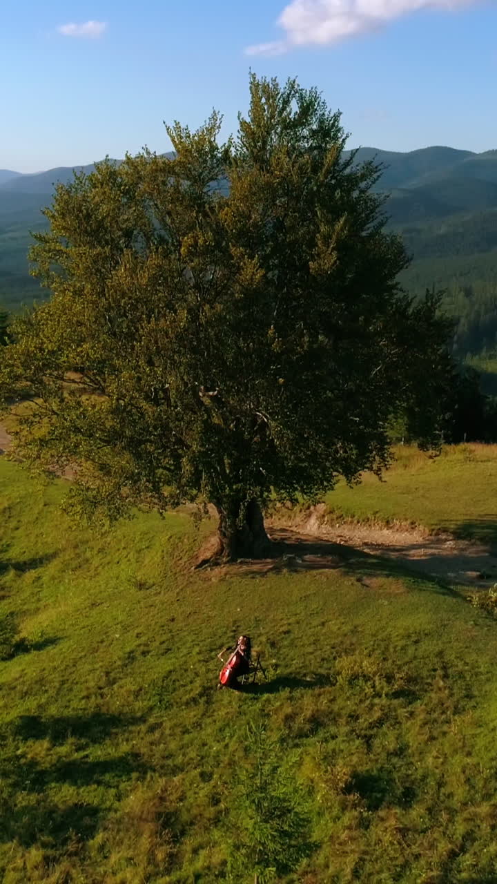 Musician near the green tree playing cello. Amazing nature background in mountainous area. Professional cellist with musical instrument on a hill. Top view. Vertical video