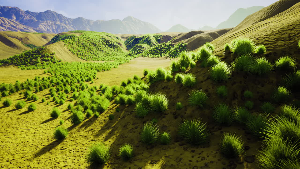 Vibrant green hills under a bright sky with distant mountains in warm sunlight