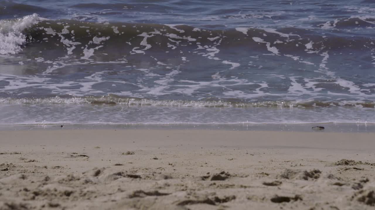 멕시코 해변에서 놀기를 기다리는 장난감