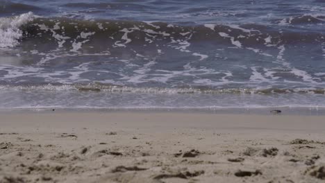juguetes esperan para ser jugados en una playa mexicana