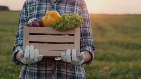 un agricultor lleva una caja de verduras frescas de su campo 7