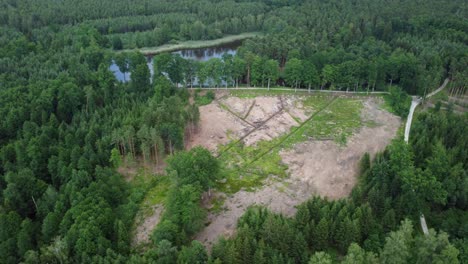 Laufende-Wiederherstellung-Abgeholzter-Wälder.-Drohne