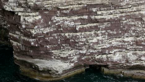 Slow-tilting-shot-revealing-a-breathtaking-seabird-colony-on-a-the-great-sea-stack-of-Handa-Island-,-covered-in-thousands-of-breeding-guillemots,-kittiwake,-puffins-and-razorbills