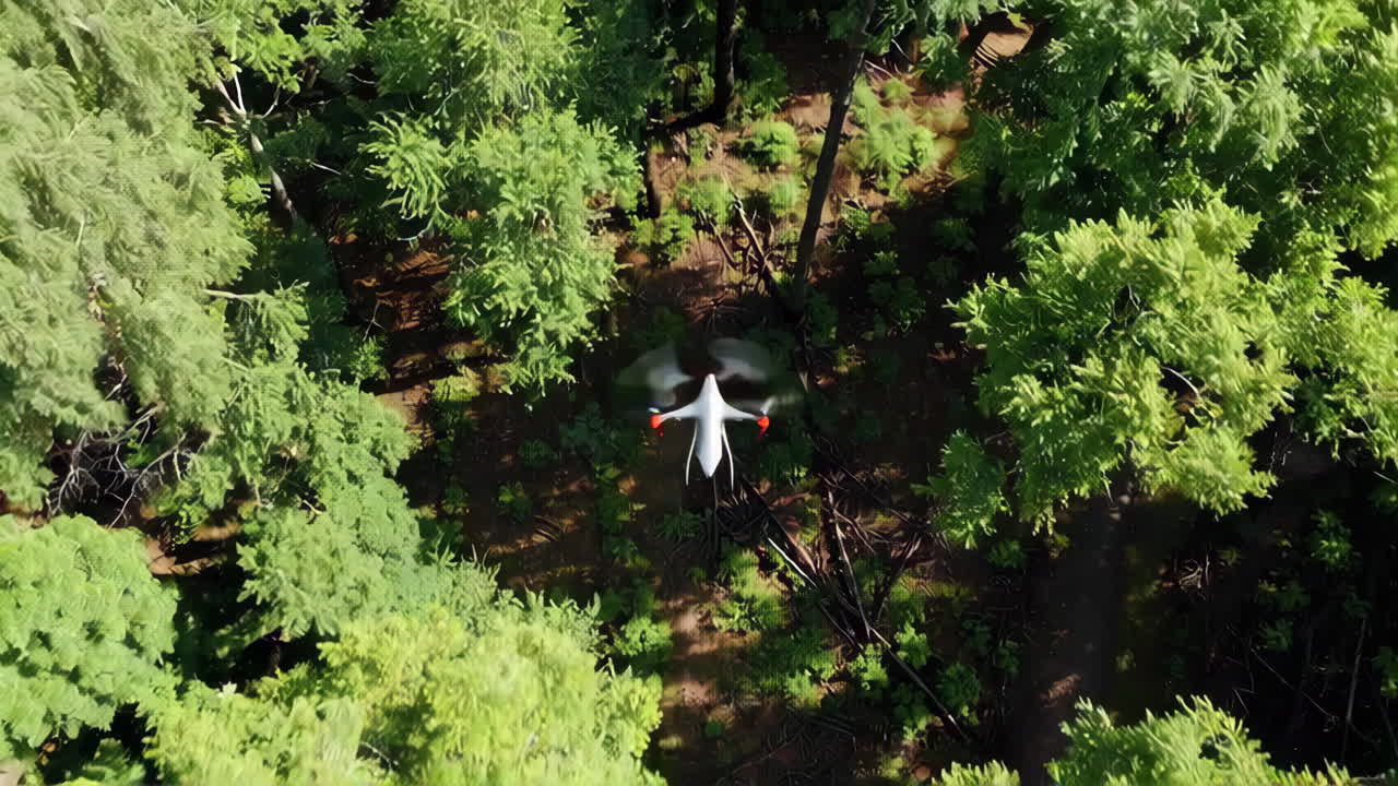 숲 위 를 날아다니는 드론