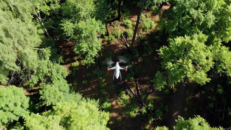 un avión no tripulado volando sobre un bosque