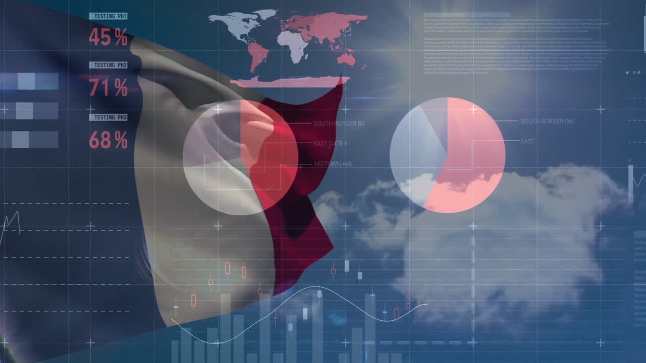 프랑스의 발 위에서 금융 데이터 처리의 애니메이션