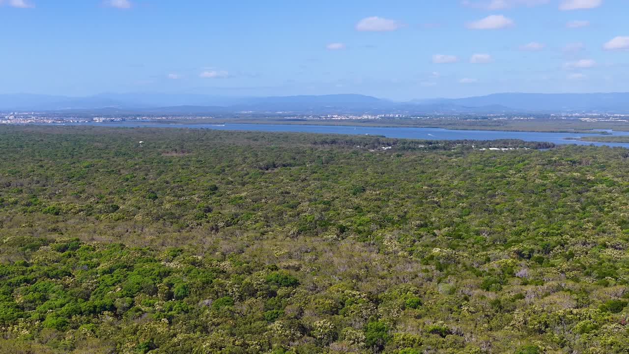 Toma cenital con dron que captura un exuberante bosque verde y vías fluviales distantes bajo cielos azules despejados