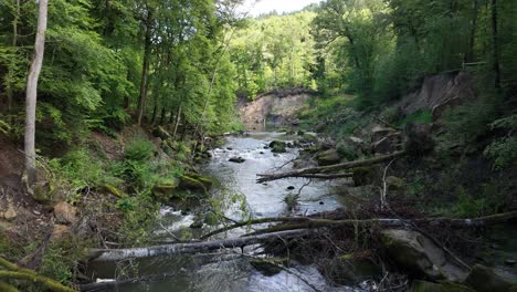 lush woodland mountain river, green forest and natural river