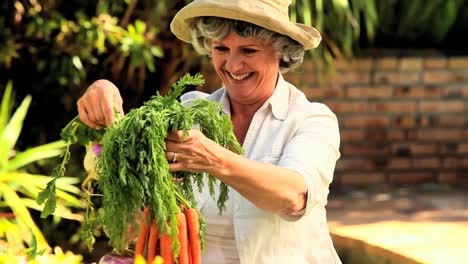 Reife-Frau-Zeigt-Gartenprodukte