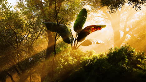 sunlit jungle scene