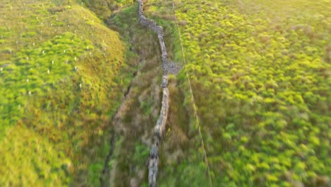 Una-Vista-Aérea-Sobre-Campos-Verdes-Al-Atardecer