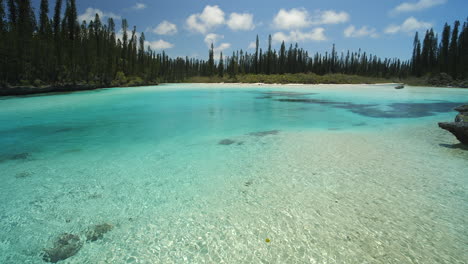 reveal shot of the colorful paradisiac waters of the natural pool of oro, isle of pines