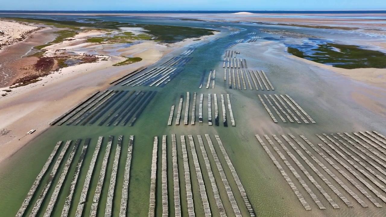 Drone aerial panorama of extensive shellfish aquaculture farms in Dakhla Lagoon, highlighting organized cultivation systems within one of Morocco's most important coastal ecosystems and blue economy h