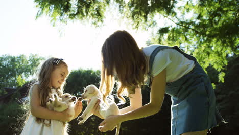 Joven-Mujer-Caucásica-Y-Niña-Bonita-Jugando-Con-Dos-Cachorros-Labrador-En-El-Parque-En-Un-Día-Soleado