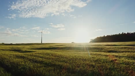 turbina eólica en un campo de trigo al atardecer