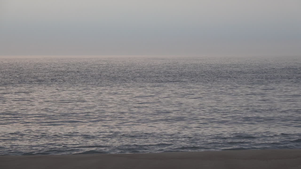 새벽에 파도가 해변에서 부서지면서 돌고래가 해안에서 몇 야드 떨어진 곳에서 수영하는 모습이 보입니다.