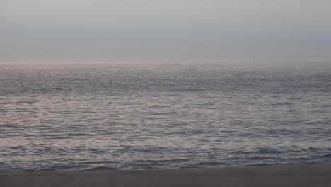 dolphins are seen swimming a few yards offshore as waves break on the beach at dawn