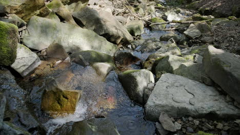 río de montaña que fluye en el arroyo