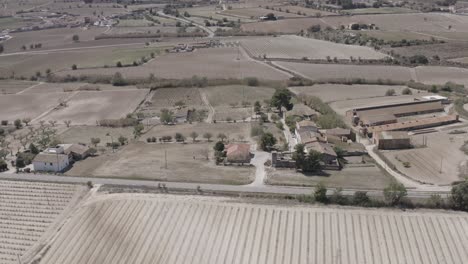 fields with vineyards, olive trees