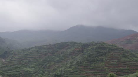 Paisaje-Montañoso-Con-Terrazas-De-Plantaciones-De-Té-Verde-Chino-En-Las-Laderas-En-Un-Día-Lluvioso-Nublado