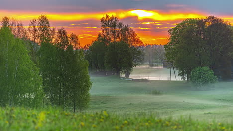 Low-lying-fog-covers-meadows-between-trees-at-sunrise---colorful-time-lapse