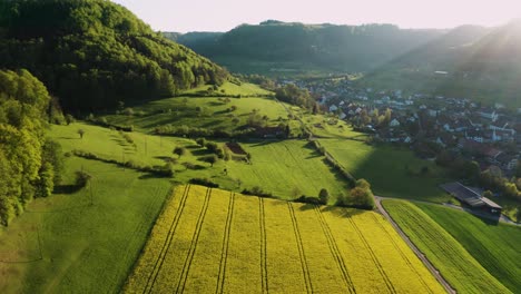 Hermosa-Vista-Aérea-Primaveral-De-La-Hora-Dorada-De-Un-Pequeño-Pueblo-En-El-Campo-De-Suiza,-Flores-Amarillas-De-Colza-Y-Bosque-Verde