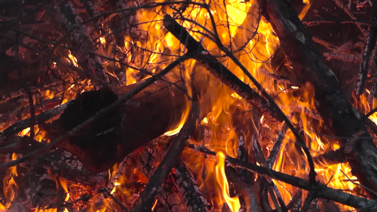 Close up footage of a vibrant orange and yellow fire or bonfire burning with intense heat and smoke in a forest during day or evening dusk dawn time. Embers and flames move in slow motion.