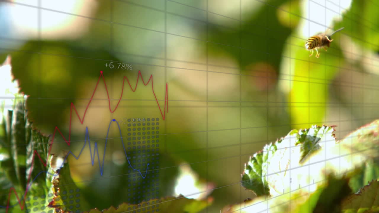 Animation of bee flying over leaves with financial graph in school project