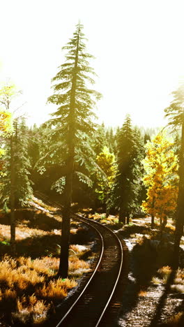 las vías del ferrocarril a través de un bosque en otoño
