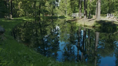 water reflections of tall trees and blue sky in shady wooded parkland