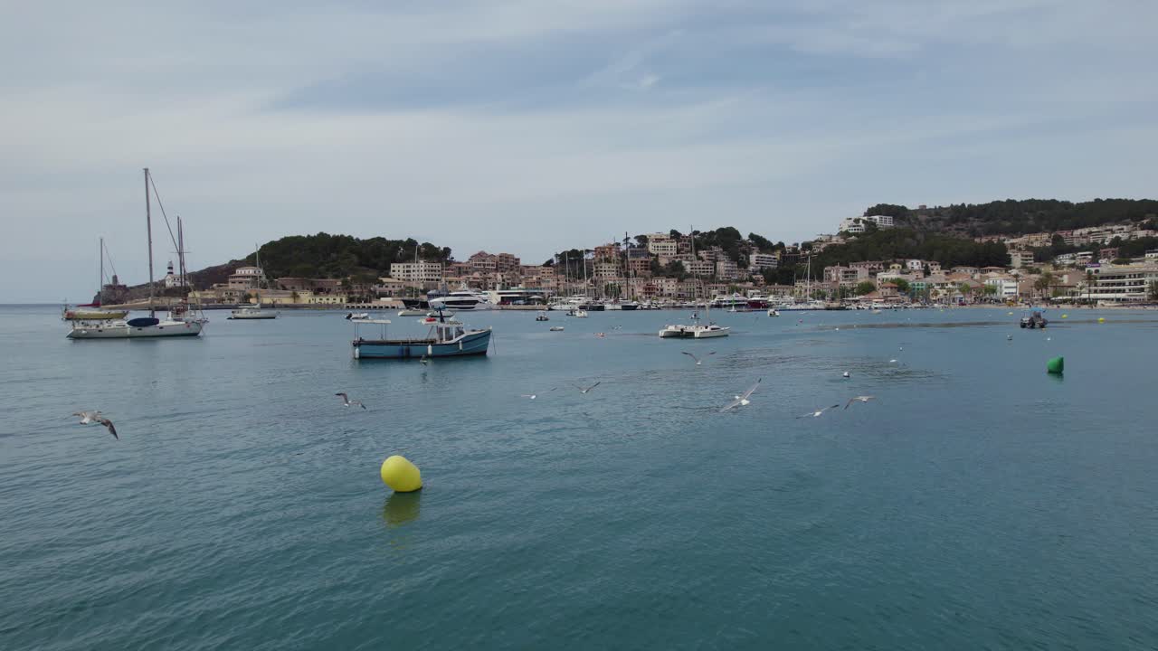 aves volando sobre el mar con barcos frente a la costa de soller en mallorca, españa