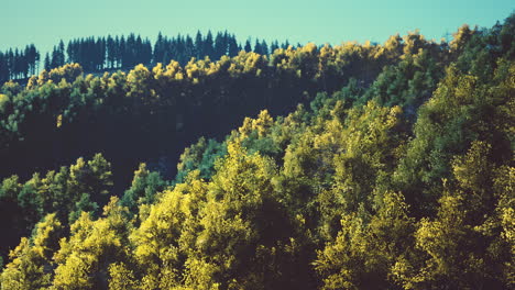 Wonderful-view-of-the-mountains-that-glow-under-the-sunlight