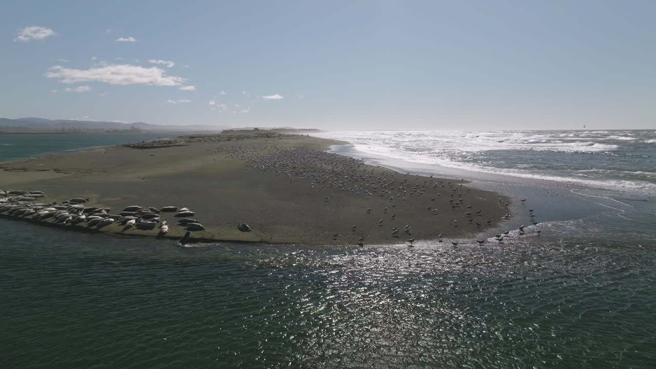 Aerial static shot of Smith River estuary in California, showcasing calm waters and surrounding coastal landscape