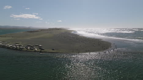 aerial static shot of smith river estuary in california, showcasing calm waters and surrounding coastal landscape