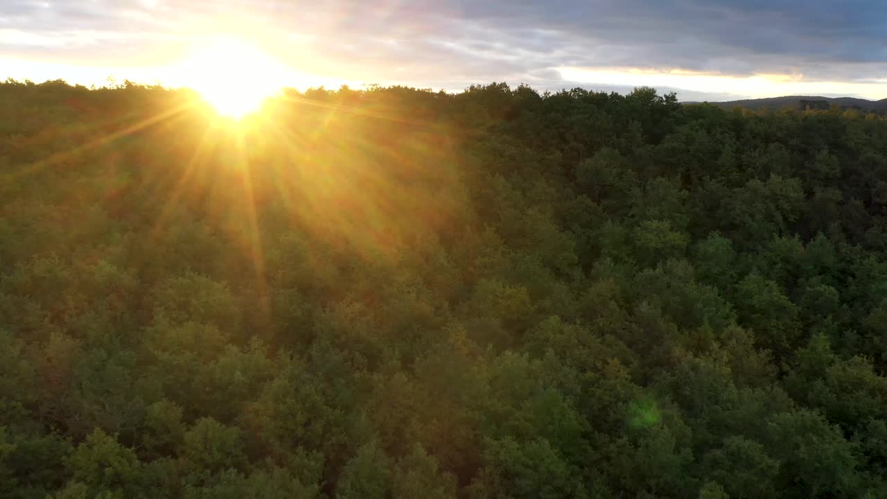 Aerial view.. Beautiful sunrise over wild forest in Italy. nature  sunrise rays shining through branches in autumn mountains