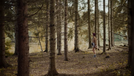 Female-tourist-exploring-amidst-trees-in-forest