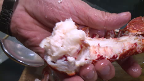 preparing lobster