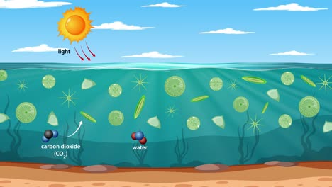 illustrates plankton photosynthesis with sunlight, carbon dioxide, and oxygen exchange in a vibrant underwater setting