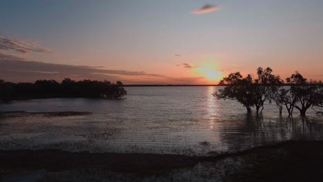 amanecer sobre un lago con árboles de mangle en el borde de las aguas