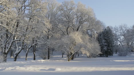 Winter-scenery-of-northen-Europe-with-snowy-road-and-frosty-trees