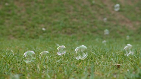 niños jugando con burbujas en un parque