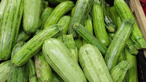 zucchini vegetables exposition at the market grocery store