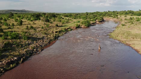 aerial drone shot of mara river landscape scenery and giraffe crossing in masai mara, wildlife safari animal in kenya, africa with beautiful african nature of trees, lush green greenery scene