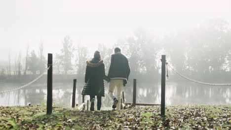 hiking, holding hands and couple back by a lake