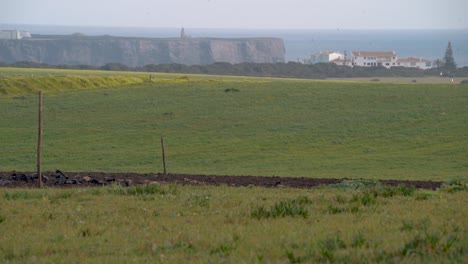 El-Pasto-Verde-Con-La-Fortaleza-Al-Fondo-Sobre-Los-Acantilados