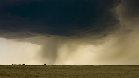severe thunderstorm over wheat field