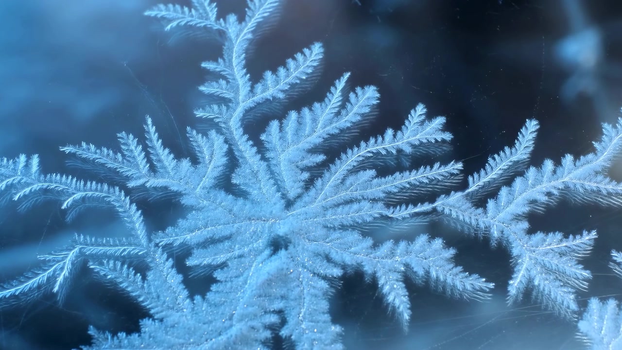 Primo piano di un motivo di cristalli di brina sul vetro, macro in tonalità blu che cattura delicate formazioni di ghiaccio simili a felci, con luce soffusa.